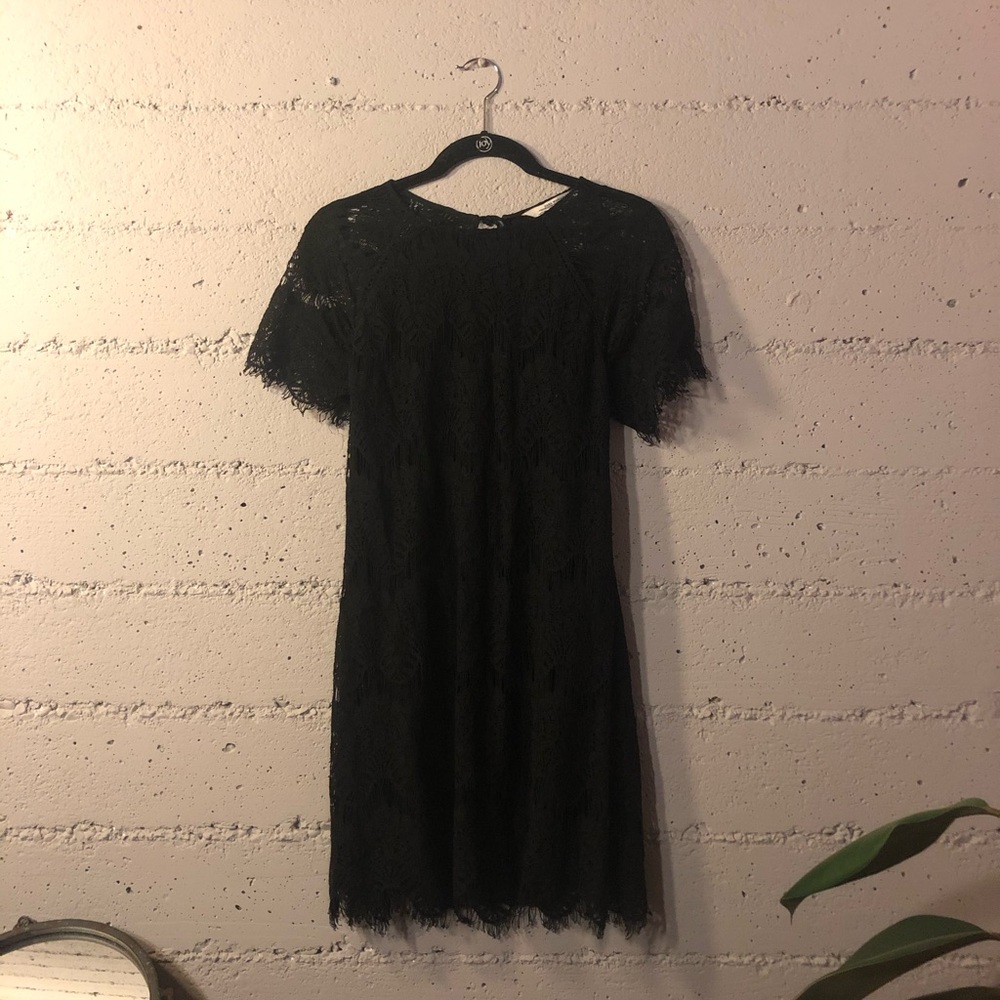 NWT Zara Lace Mini Dress